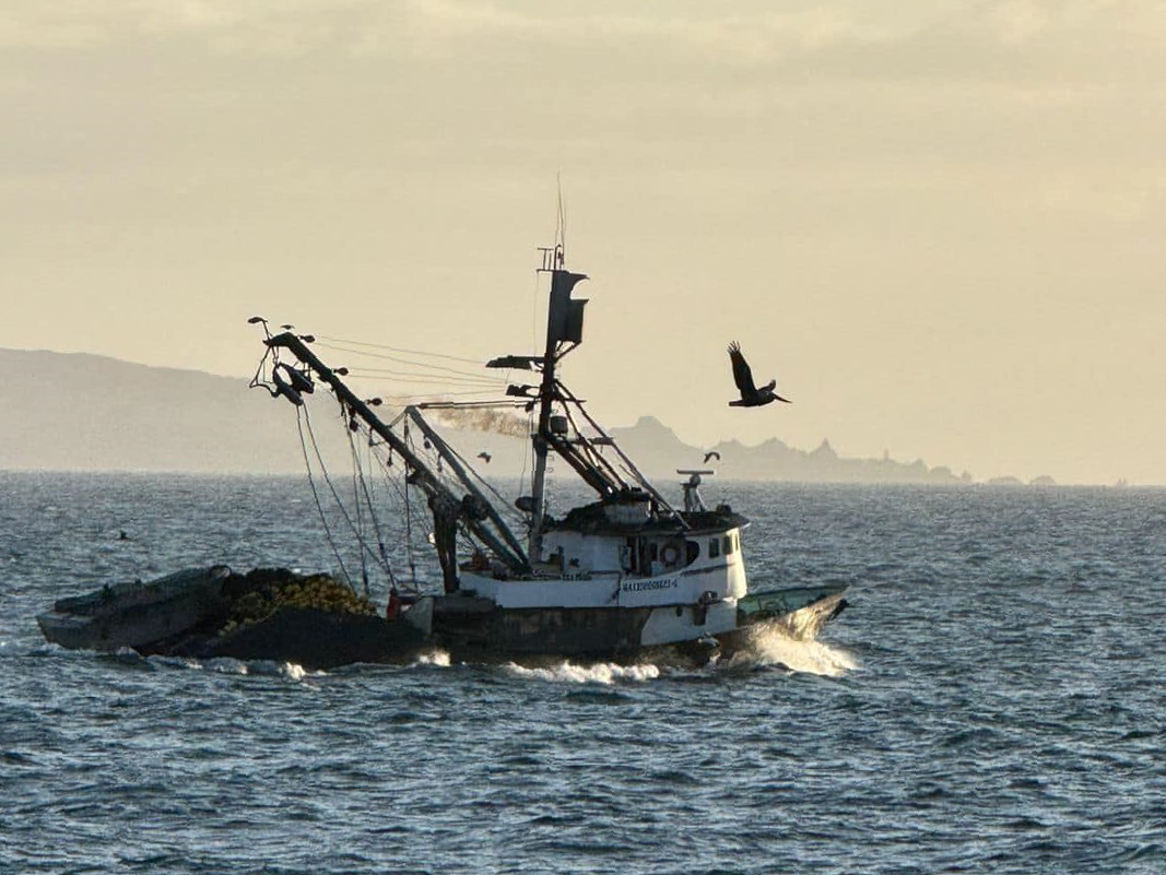 Referencia de la foto