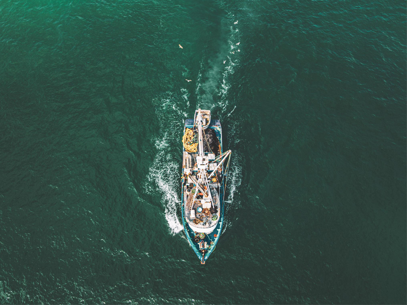 Eliminate your management & support